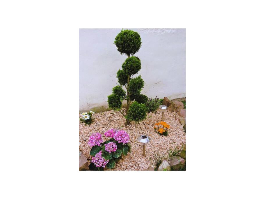 Appartamento Cosy Proche Centre *
